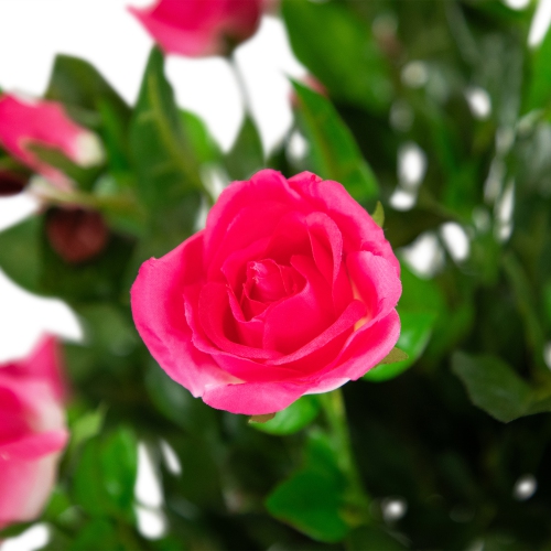 47" Potted Green and Pink Artificial Rose Tree