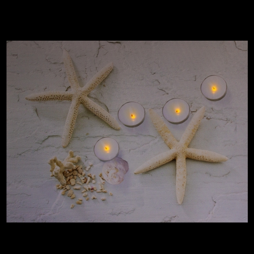 LED Lighted Starfish, Seashell and Tea Light Candles Canvas Wall Art 15.75"