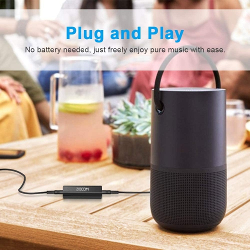 Ground Loop Noise Isolator, Noise Filter, Eliminate The Buzzing Noise for Your Car Audio System/Home Stereo