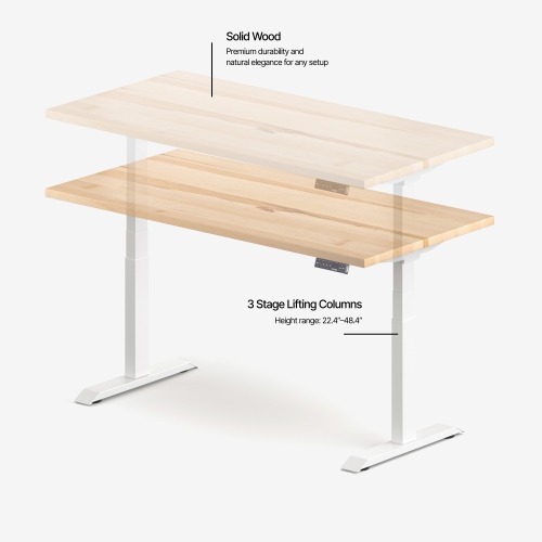 burotic Solid Wood Sit-Stand Desk – Electric Height Adjustable with Dual Motor – Solid Maple Top – White Frame – 24" x 48"