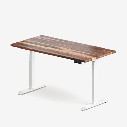 BUROTIC  Solid Wood Sit-Stand Desk – Electric Height Adjustable With Dual Motor – Solid Walnut Top – Frame – 24" X 48" In White