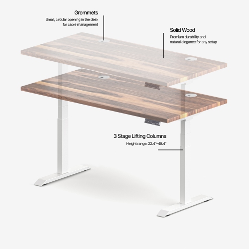 burotic Solid Wood Sit-Stand Desk – Electric Height Adjustable with Dual Motor – Solid Walnut Top – White Frame – 30" x 60"