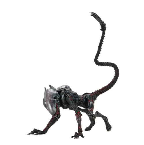 Aliens Kenner Tribute 9 Inch Action Figure Ultimate - Night Cougar Alien