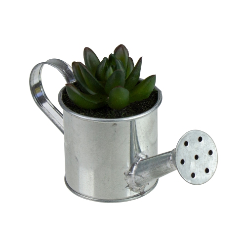 6" Tropical Mini Artificial X Pachyveria Succulent in Watering Can