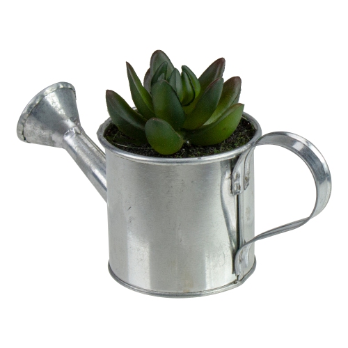 6" Tropical Mini Artificial X Pachyveria Succulent in Watering Can