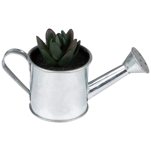 6" Tropical Mini Artificial X Pachyveria Succulent in Watering Can