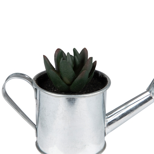 6" Tropical Mini Artificial X Pachyveria Succulent in Watering Can