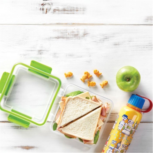 Easy Lunch Square Sandwich Container - 473 ml