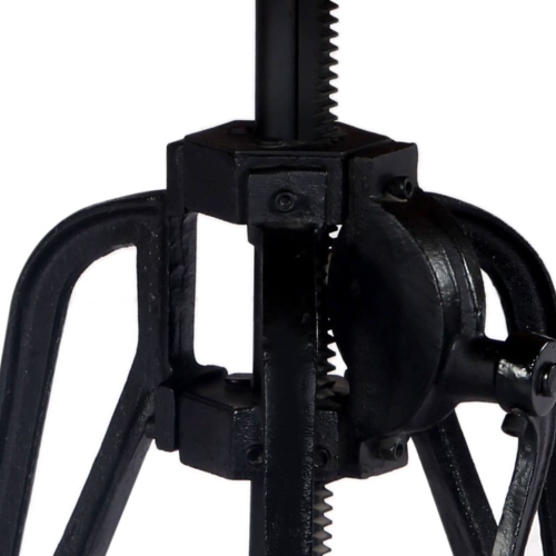 vidaXL Side Table 23.6"x(18.1"-24.8") Solid Mango Wood and Cast Iron