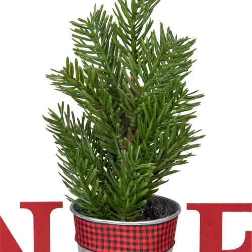 13" Red "NOEL" Potted Faux Pine in Metal Planter Christmas Tabletop Plaque
