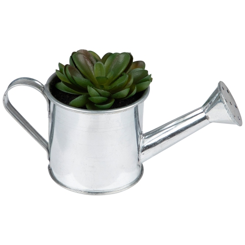 6" Potted Artificial Mini Echeveria Succulent with Watering Can