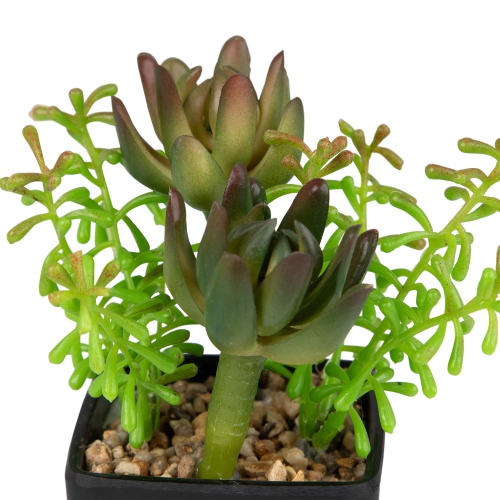 6" Potted Green Artificial Succulent Arrangement