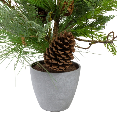 2' Potted Mixed Pine, Cedar and Twig Artificial Christmas Tree - Unlit