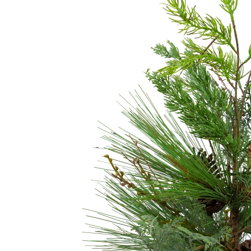 2' Potted Mixed Pine, Cedar and Twig Artificial Christmas Tree - Unlit
