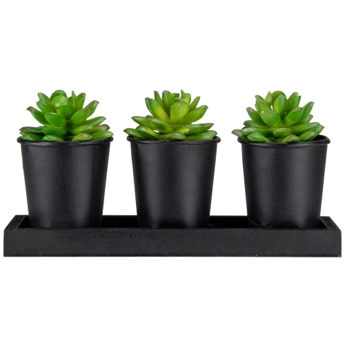 Set of 3 Mini Artificial Potted Succulents with Wood Planter 5"