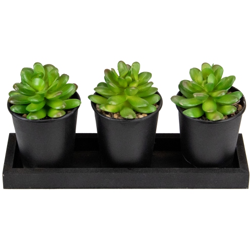 Set of 3 Mini Artificial Potted Succulents with Wood Planter 5"