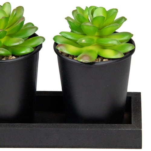 Set of 3 Mini Artificial Potted Succulents with Wood Planter 5"