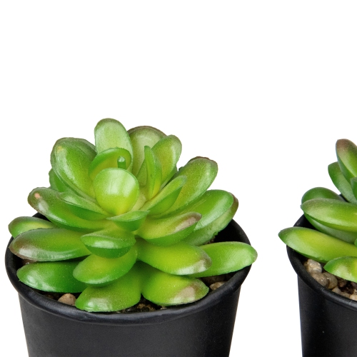 Set of 3 Mini Artificial Potted Succulents with Wood Planter 5"