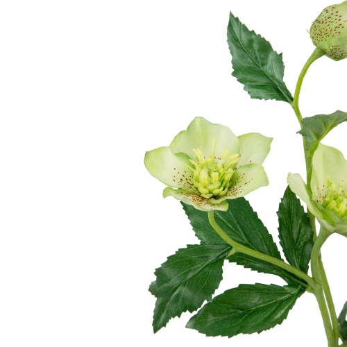22" Helleborus Molly's White Artificial Silk Floral Spray