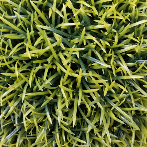 18" Potted Two-Tone Artificial Pine Ball Topiary Plant