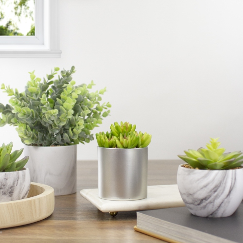 4.75" Potted Red and Green Artificial Sedum Succulent