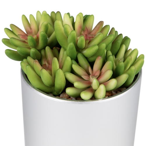 4.75" Potted Red and Green Artificial Sedum Succulent