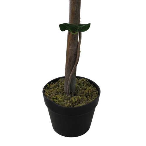 49.5" Green and White Potted Floral Artificial Rose Garden Tree