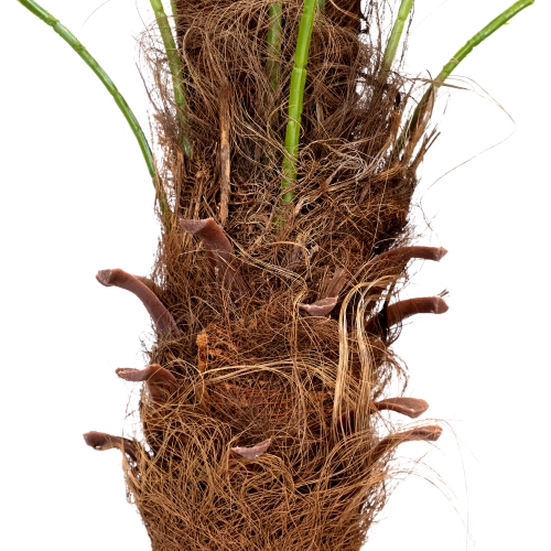 3.75' Potted Phoenix Palm Brown and Green Artificial Christmas Tree - Unlit