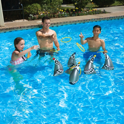 Set of 6 Silver Ring Toss Swimming Pool and Backyard Game 11"