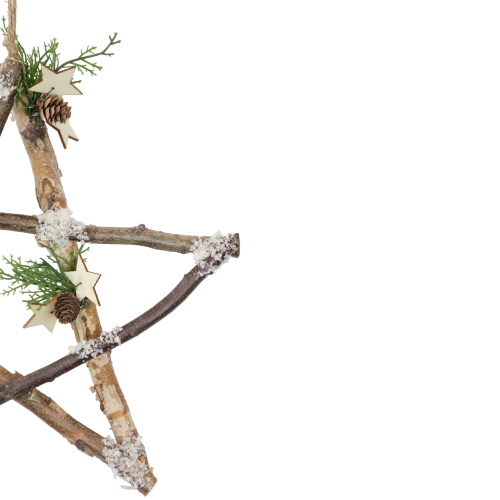 14" Snowy Branch Christmas Star Wall Decor