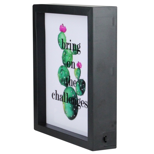 LED Lighted 'Bring on the Challenges' Cactus Framed Light Box 9" x 7"
