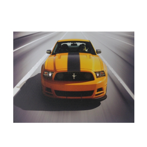 Fibre optique et éclairage DEL 2013 Ford Mustang Boss 302, toile 12 x 15.75 po