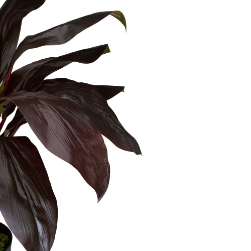 23" Red and Green Artificial Dracaena Potted Plant Home Decor