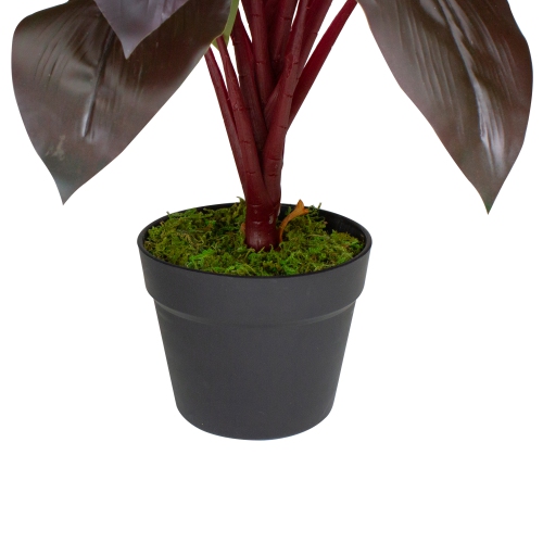 23" Red and Green Artificial Dracaena Potted Plant Home Decor