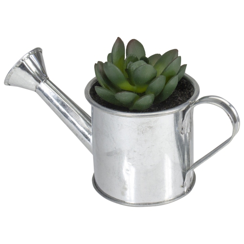 6" Tropical Artificial Rose Succulent in Water Can