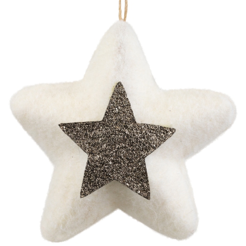 3.75" White and Silver Star Hanging Christmas Ornament