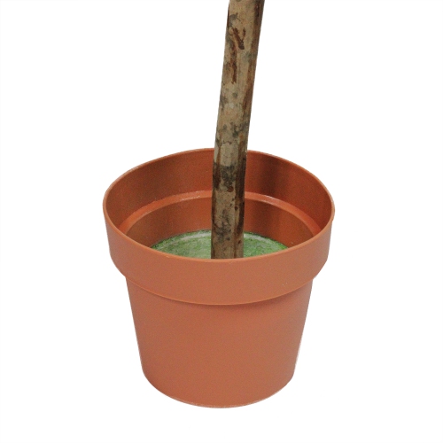 55.5" Potted Two-Tone Artificial Boxwood Double Ball Topiary Tree