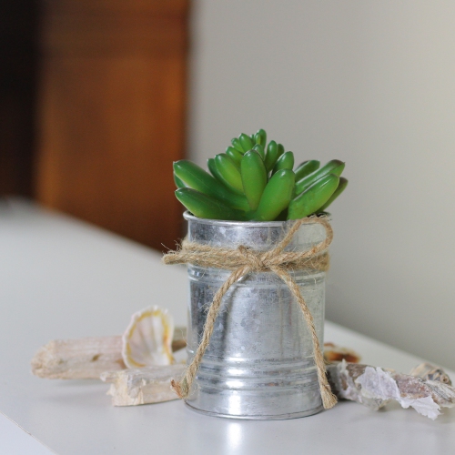 5" Artificial Pachyveria Succulent in Tin Can Planter with Twine Bow