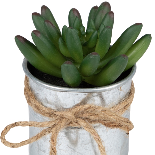 5" Artificial Pachyveria Succulent in Tin Can Planter with Twine Bow