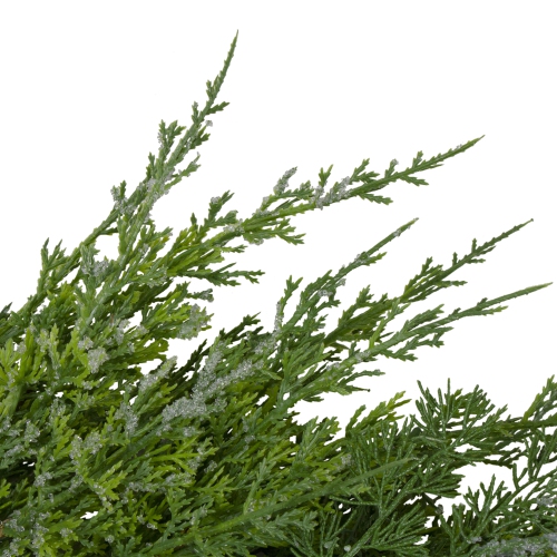 Frosted Cedar and Pine Cone Artificial Christmas Wreath - 26-Inch, Unlit