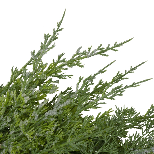 Frosted Cedar and Pine Cone Artificial Christmas Wreath - 26-Inch, Unlit