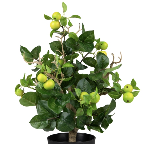 23" Green and Black Bonsai Style Apple Artificial Potted Tree