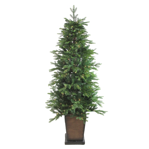 6' Pre-Lit Potted Oregon Noble Fir Slim Artificial Christmas Tree - Clear LED Lights