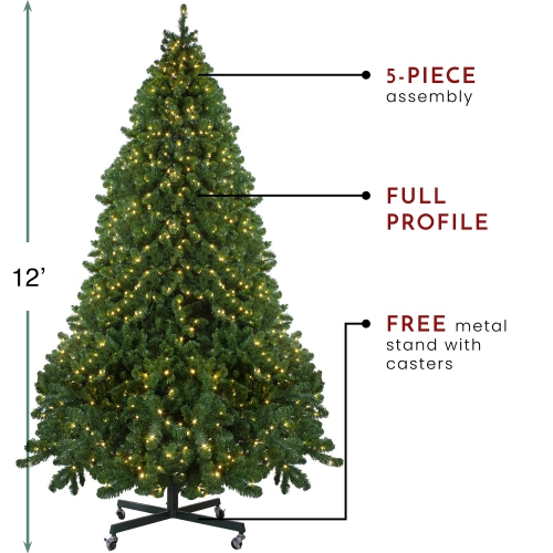 12' Pre-Lit Full Olympia Pine Artificial Christmas Tree - Warm White Lights