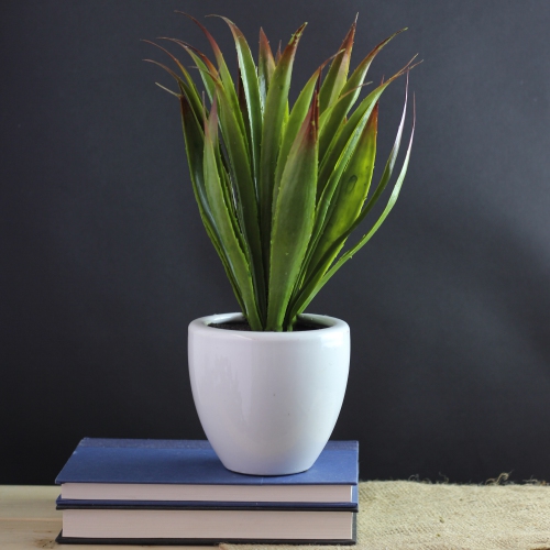 13.5" Potted Artificial Green and Red Agave Succulent Plant