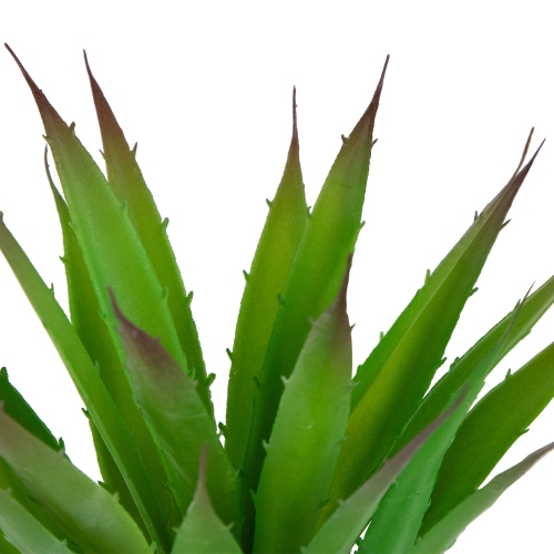 13.5" Potted Artificial Green and Red Agave Succulent Plant