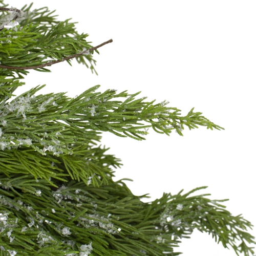 24" Iced Cedar Artificial Christmas Wreath - Unlit