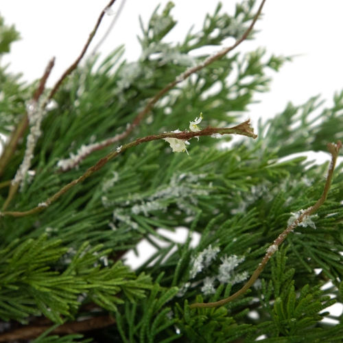 24" Iced Cedar Artificial Christmas Wreath - Unlit