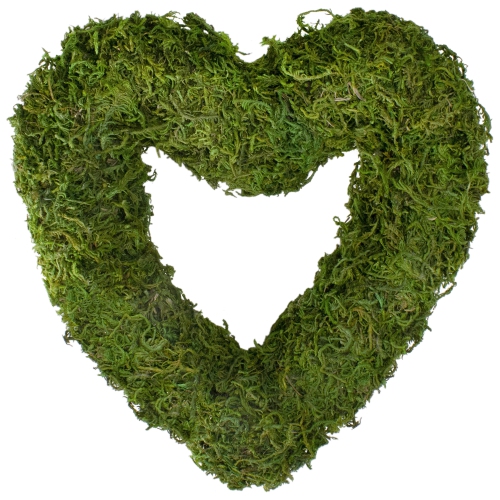 NORTHLIGHT  Reindeer Moss Heart Twig Artificial Wreath 13.5-Inch In Green