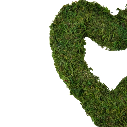 Reindeer Moss Heart Twig Artificial Wreath, Green 13.5-Inch